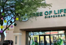 tree of life dispensary
