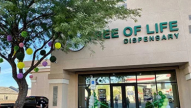 tree of life dispensary